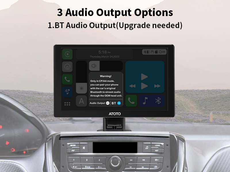 3 Audio Output Options