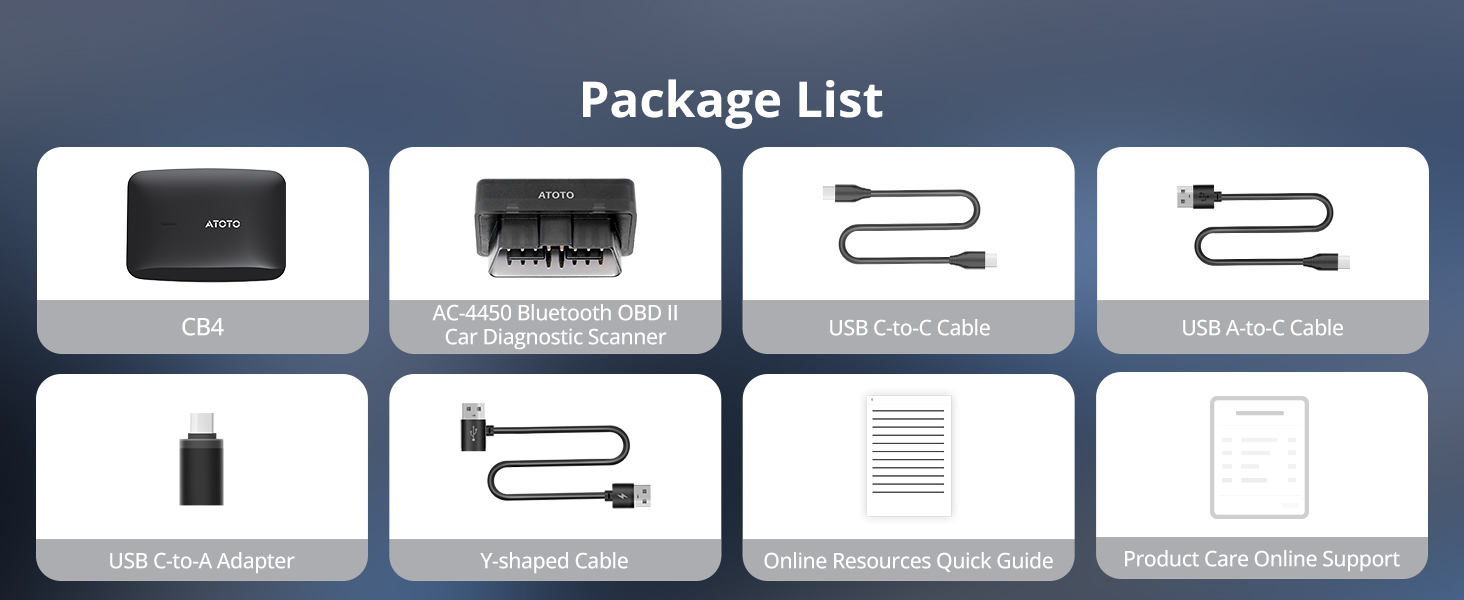 Portable CarPlay