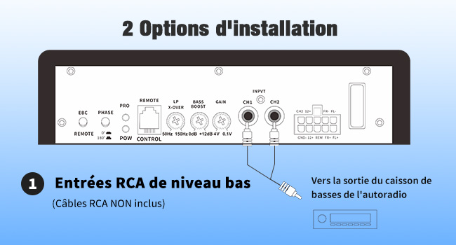 Entrées RCA de bas niveau