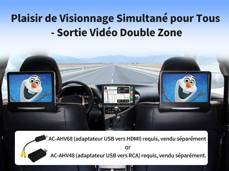 Plaisir de Visionnage Simultané pour Tous - Sortie Vidéo Double Zone