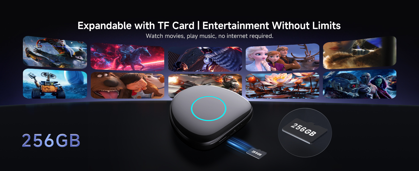 Text reads 'Expandable with TF Card | Entertainment Without Limits' and '256GB'. Gaming-themed promotional image with colorful lighting effects and storage device imagery.