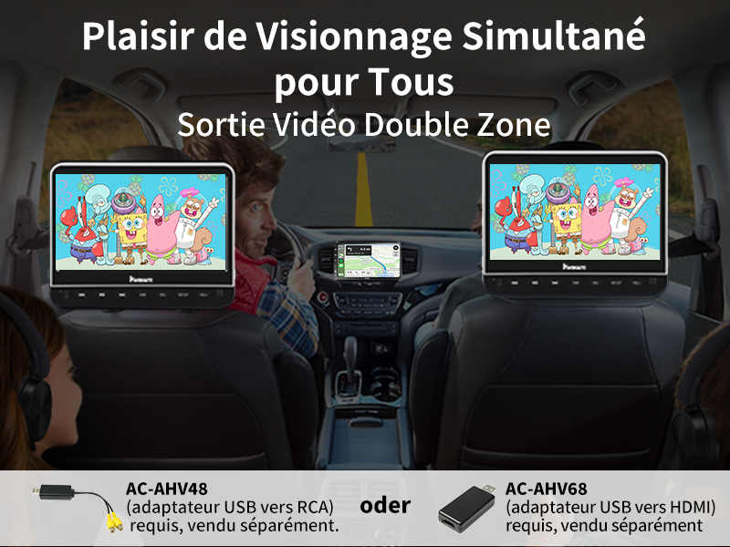 Plaisir de Visionnage Simultané pour Tous - Sortie Vidéo Double Zone