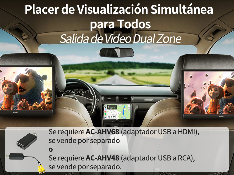 Placer de Visualización Simultánea para Todos - Salida de Video Dual Zone