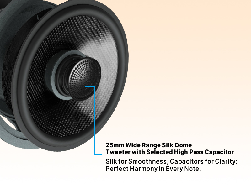 25mm Wide Range Silk Dome Tweeter with Selected High Pass Capacitor