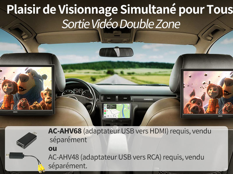 Plaisir de Visionnage Simultané pour Tous - Sortie Vidéo Double Zone